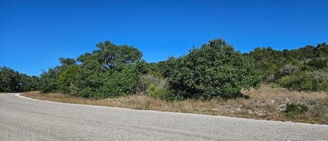CR 2801 E  Lot 202, Mico, TX 78056 — photo 7