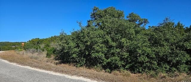 CR 2801 E  Lot 202, Mico, TX 78056 — photo 8