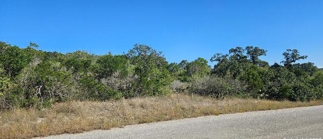 CR 2801 E  Lot 202, Mico, TX 78056 — photo 9