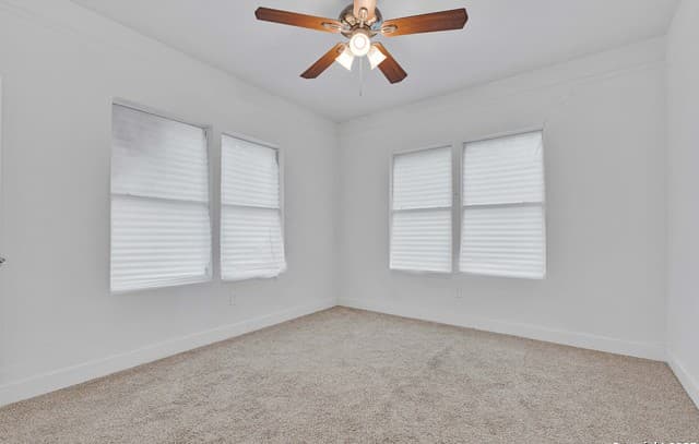 438  Vanderbilt, San Antonio, TX 78210 — photo 15