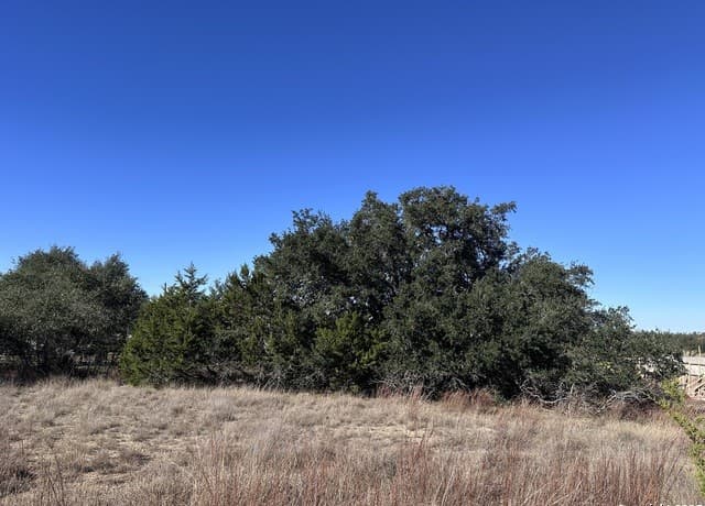 107  Solomon Adams, Blanco, TX 78606 — photo 10