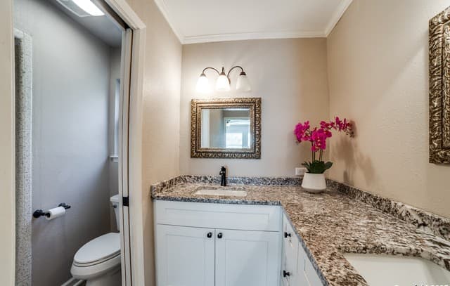 7447  Horse Tail Dr., San Antonio, TX 78240 — photo 10