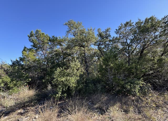 LOT 193  County Road 2801, Mico, TX 78056 — photo 10