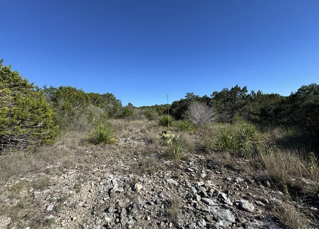 LOT 193  County Road 2801, Mico, TX 78056 — photo 11