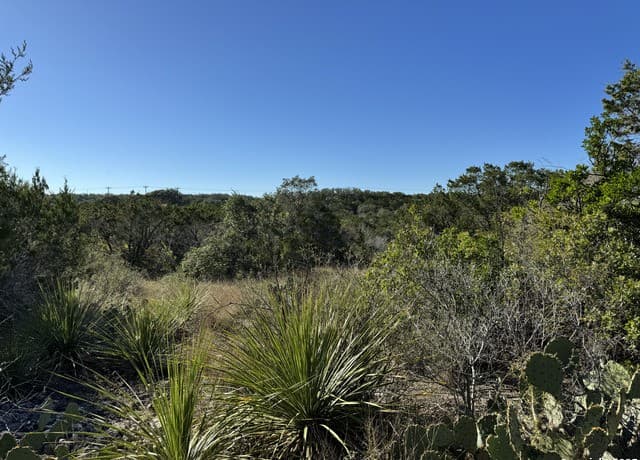 LOT 193  County Road 2801, Mico, TX 78056 — photo 12