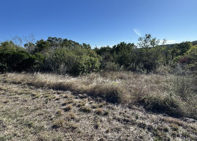 LOT 193  County Road 2801, Mico, TX 78056 — photo 15