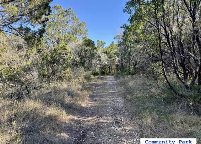 LOT 193  County Road 2801, Mico, TX 78056 — photo 16