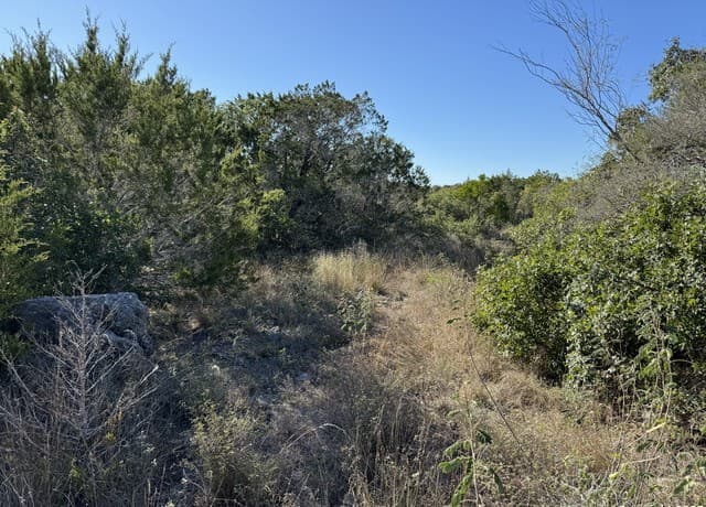 LOT 193  County Road 2801, Mico, TX 78056 — photo 2