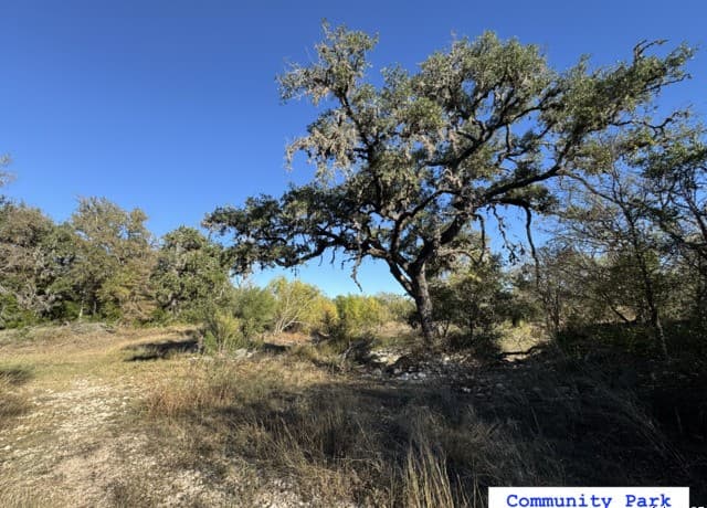 LOT 193  County Road 2801, Mico, TX 78056 — photo 20