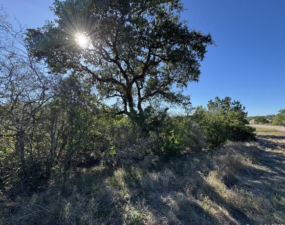 LOT 193  County Road 2801, Mico, TX 78056 — photo 3
