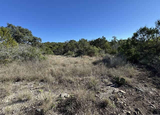 LOT 193  County Road 2801, Mico, TX 78056 — photo 5
