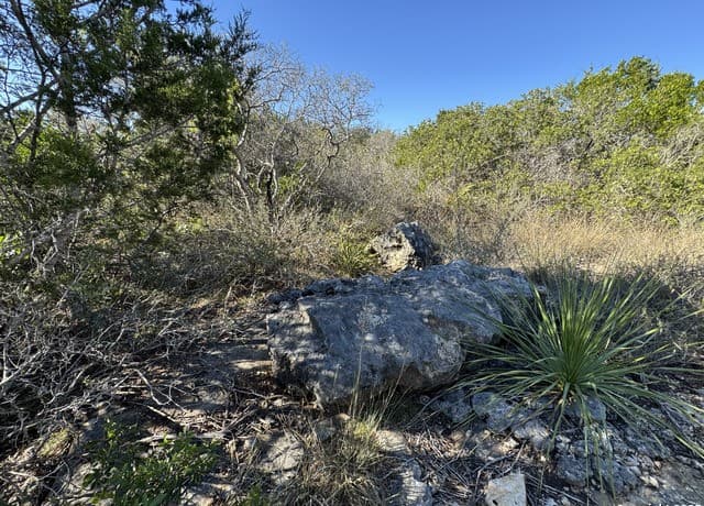 LOT 193  County Road 2801, Mico, TX 78056 — photo 6