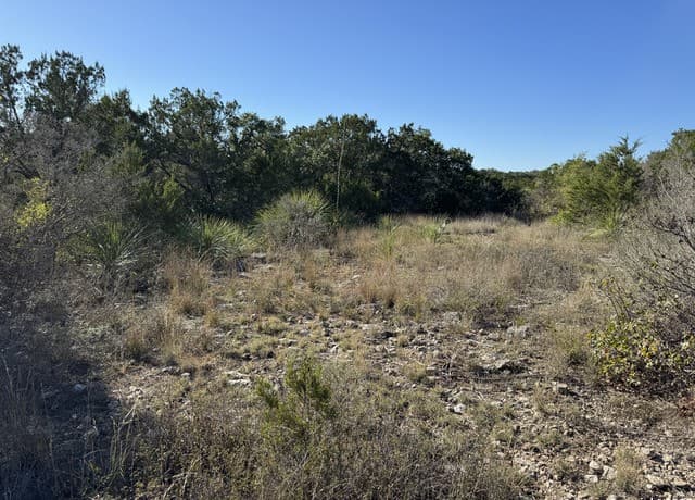 LOT 193  County Road 2801, Mico, TX 78056 — photo 7