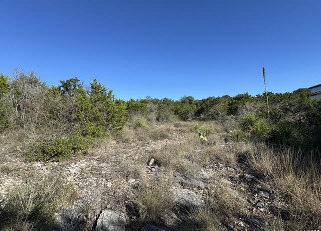 LOT 193  County Road 2801, Mico, TX 78056 — photo 8