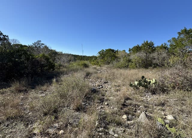 LOT 193  County Road 2801, Mico, TX 78056 — photo 9