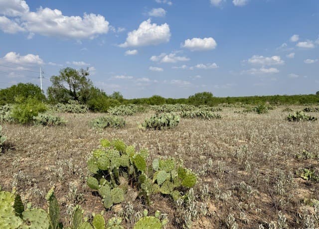 TBD LOT 62 E Cr 1647, Moore, TX 78057 — photo 10