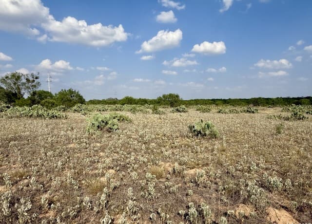 TBD LOT 62 E Cr 1647, Moore, TX 78057 — photo 11