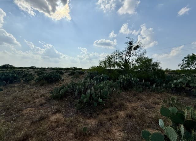 TBD LOT 62 E Cr 1647, Moore, TX 78057 — photo 2