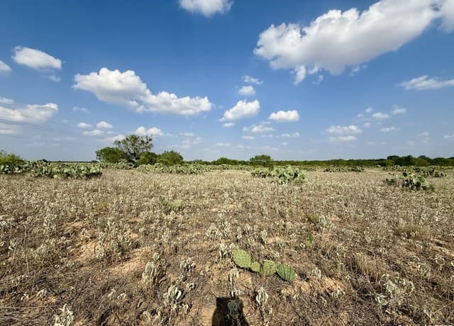 TBD LOT 62 E Cr 1647, Moore, TX 78057 — photo 3
