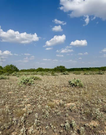 TBD LOT 62 E Cr 1647, Moore, TX 78057 — photo 4