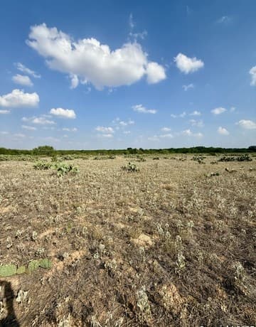 TBD LOT 62 E Cr 1647, Moore, TX 78057 — photo 5