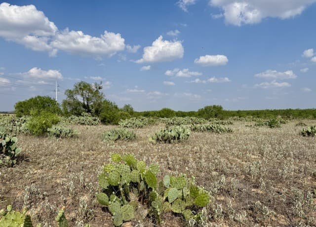 TBD LOT 62 E Cr 1647, Moore, TX 78057 — photo 7