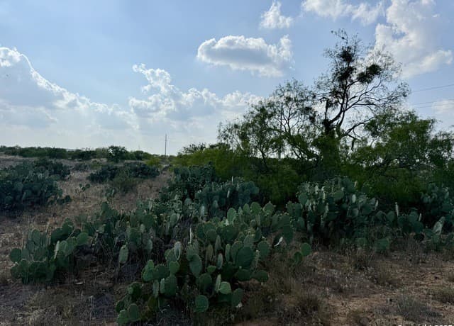 TBD LOT 62 E Cr 1647, Moore, TX 78057 — photo 9