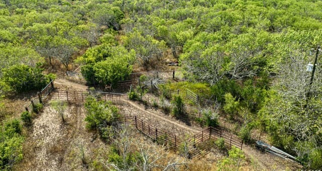 10+/- ACRES  Cr 152, Kenedy, TX 78119 — photo 11