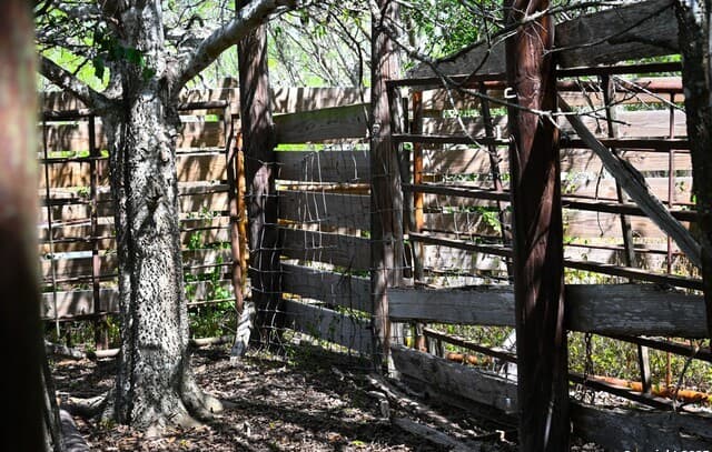 10+/- ACRES  Cr 152, Kenedy, TX 78119 — photo 18