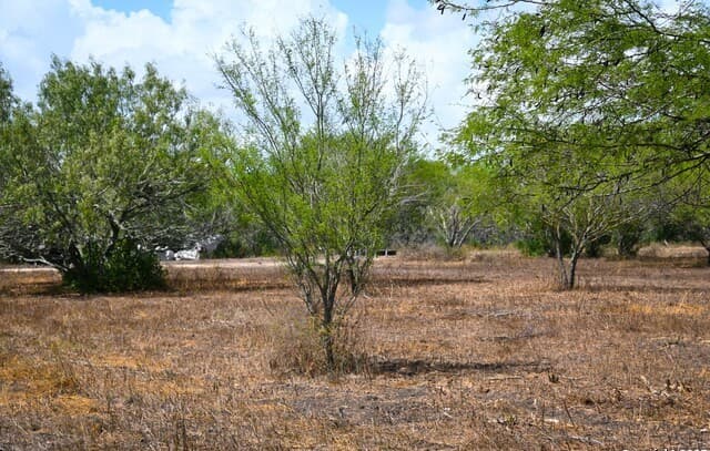 10+/- ACRES  Cr 152, Kenedy, TX 78119 — photo 22