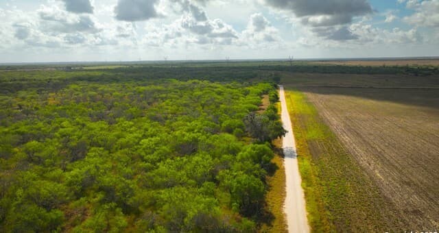 10+/- ACRES  Cr 152, Kenedy, TX 78119 — photo 4