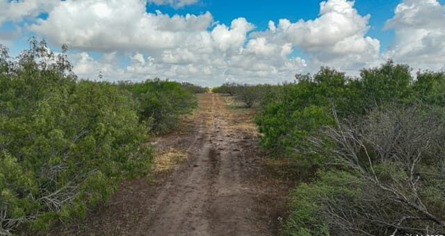 10+/- ACRES  Cr 152, Kenedy, TX 78119 — photo 6