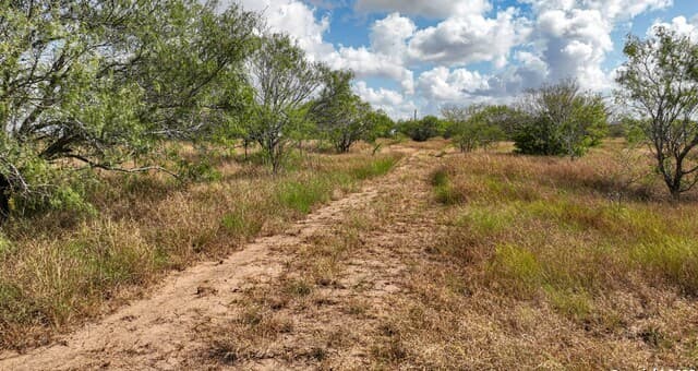 10+/- ACRES  Cr 152, Kenedy, TX 78119 — photo 7
