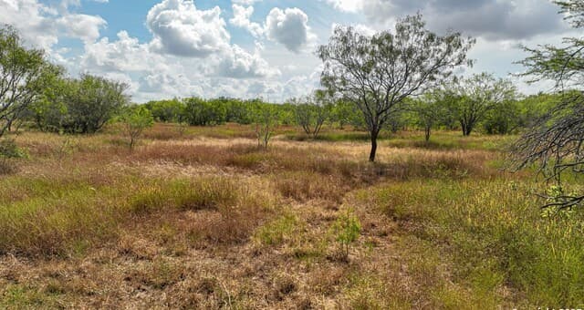 10+/- ACRES  Cr 152, Kenedy, TX 78119 — photo 8