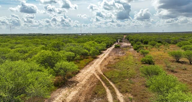 10+/- ACRES  Cr 152, Kenedy, TX 78119 — photo 9