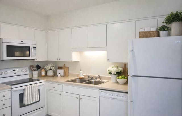2300  Nacogdoches Unit 263-R, San Antonio, TX 78209 — photo 4