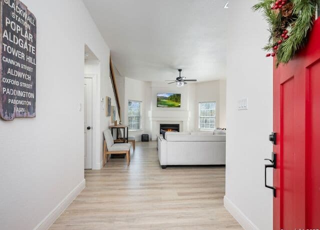 8403  Maple Ridge, San Antonio, TX 78239 — photo 3