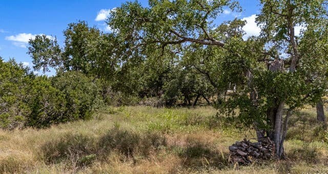 1746  Paradise Pkwy, Canyon Lake, TX 78133 — photo 15