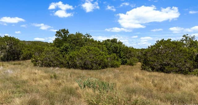 1746  Paradise Pkwy, Canyon Lake, TX 78133 — photo 16