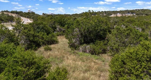 1746  Paradise Pkwy, Canyon Lake, TX 78133 — photo 17