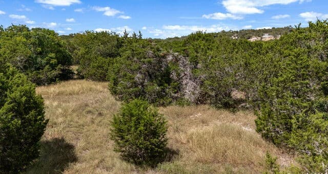 1746  Paradise Pkwy, Canyon Lake, TX 78133 — photo 18