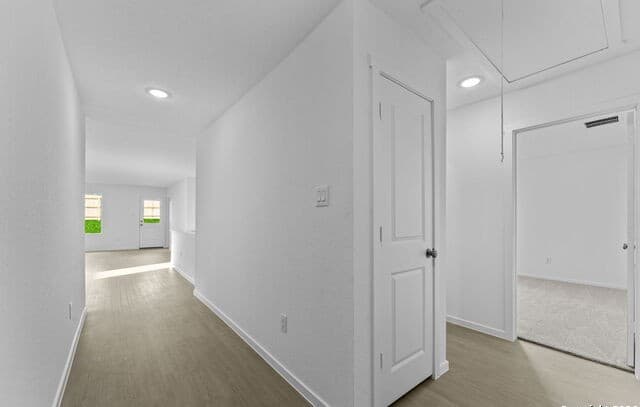 3812  Northaven Trl, New Braunfels, TX 78132 — photo 9