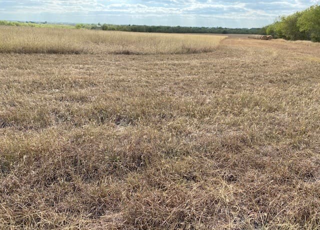 12020  Interstate 10, Converse, TX 78109 — photo 17