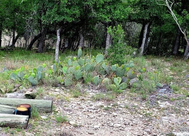LOT 270  Forest Clfs, San Antonio, TX 78253 — photo 11