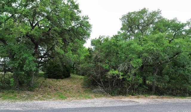 LOT 270  Forest Clfs, San Antonio, TX 78253 — photo 2