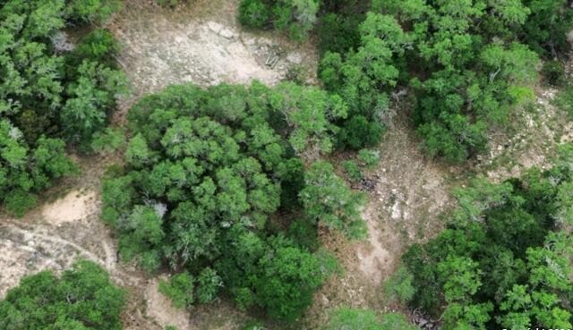 LOT 270  Forest Clfs, San Antonio, TX 78253 — photo 4