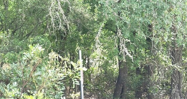 LOT 270  Forest Clfs, San Antonio, TX 78253 — photo 6