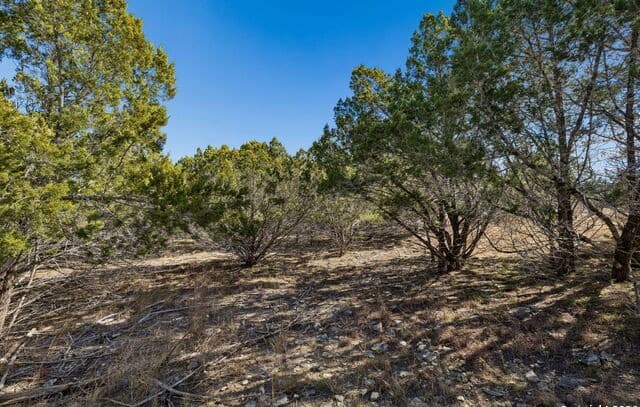 277  Palomino Springs, Bandera, TX 78003 — photo 17