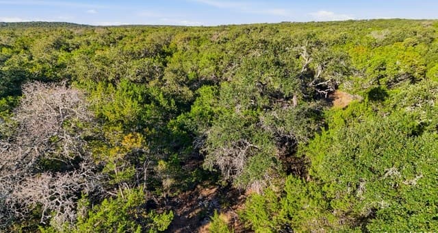 118  Restless Wind, Spring Branch, TX 78070 — photo 21
