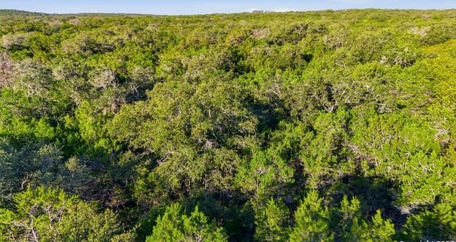 124  Restless Wind, Spring Branch, TX 78070 — photo 20